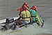 Bore Surfing Random Images