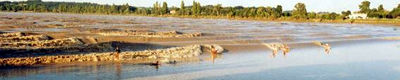 The Dordogne Mascaret at Port St Pardon, Courtesy Fabrice Colas