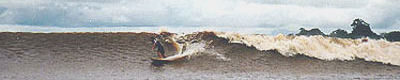 The Guama Pororca Challenge, 1999, (c) eco-logic-systems