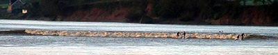 Locals only on a high river in spring, Courtesy John Simms