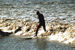 Random Severn Bore Surfing Photo 5.