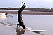 Random Severn Bore Surfing Photo 7.