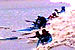Random Severn Bore Surfing Photo 7.