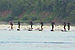 Random Severn Bore Surfing Photo 3.